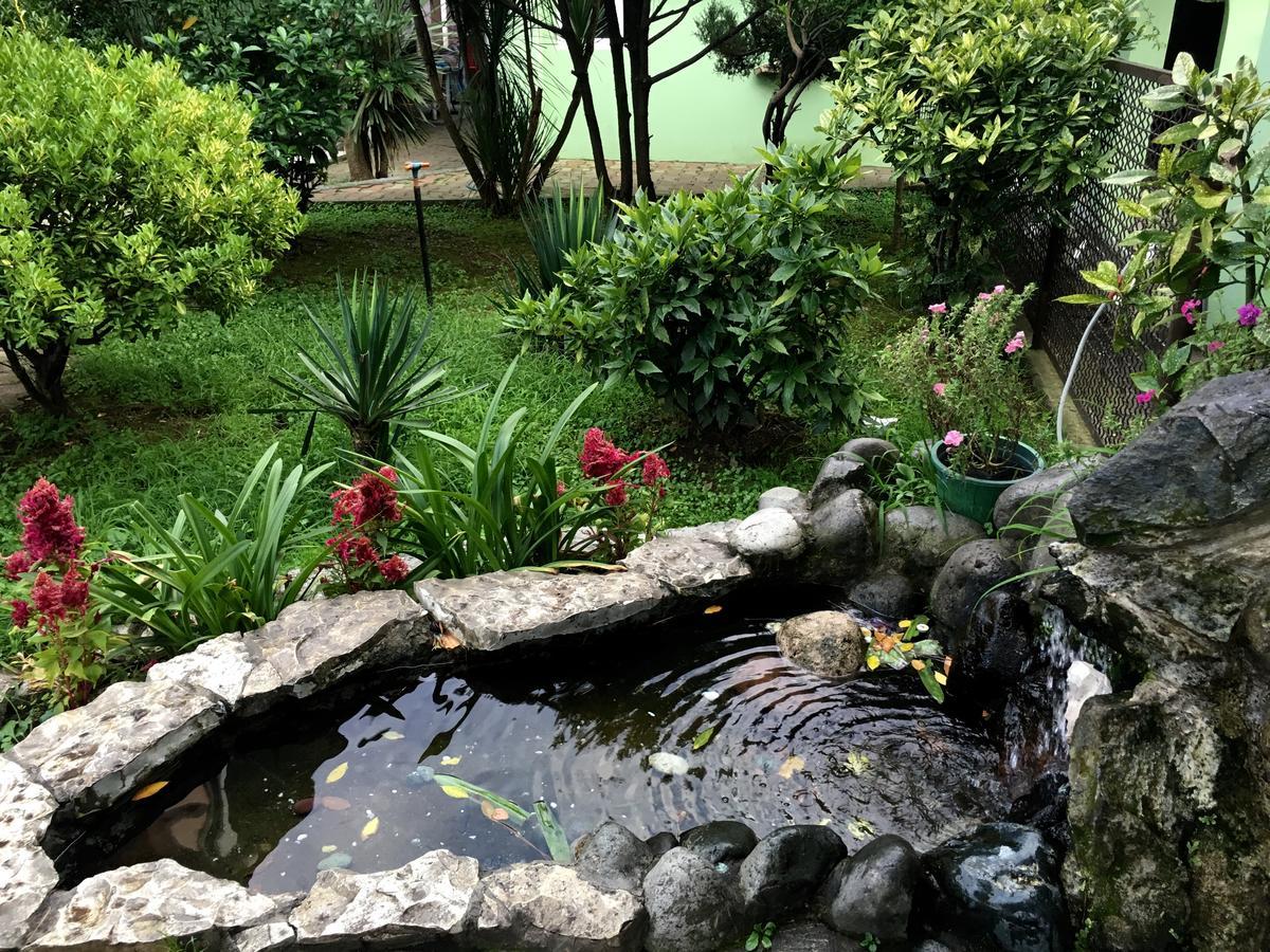 Hotel Simpatia Kobuleti Dış mekan fotoğraf